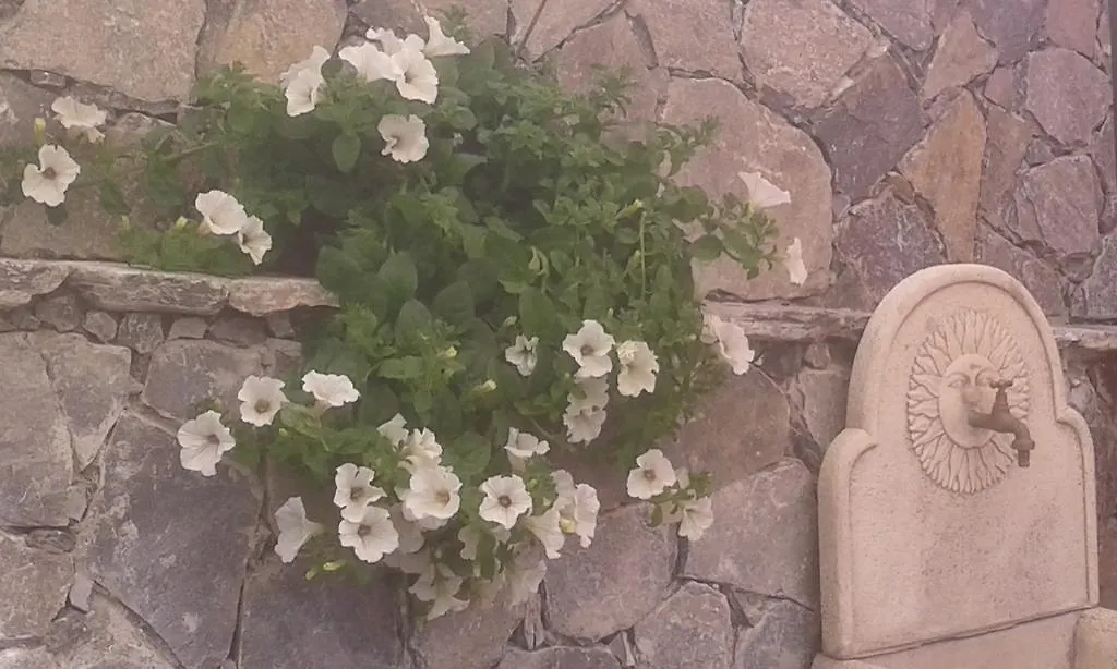 Dreams Guest House La Spezia 0*,  Italy