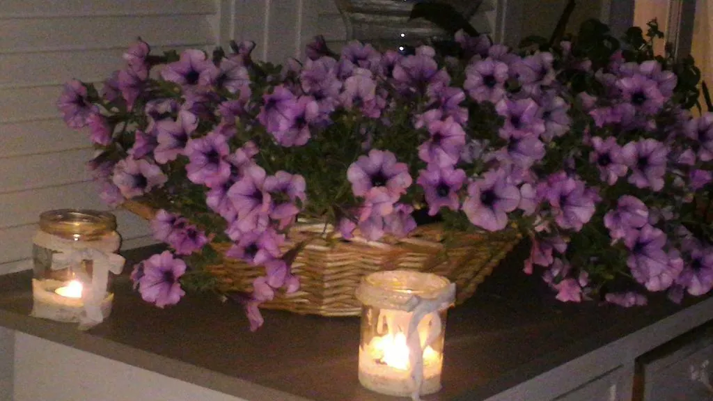 Dreams Guest House La Spezia