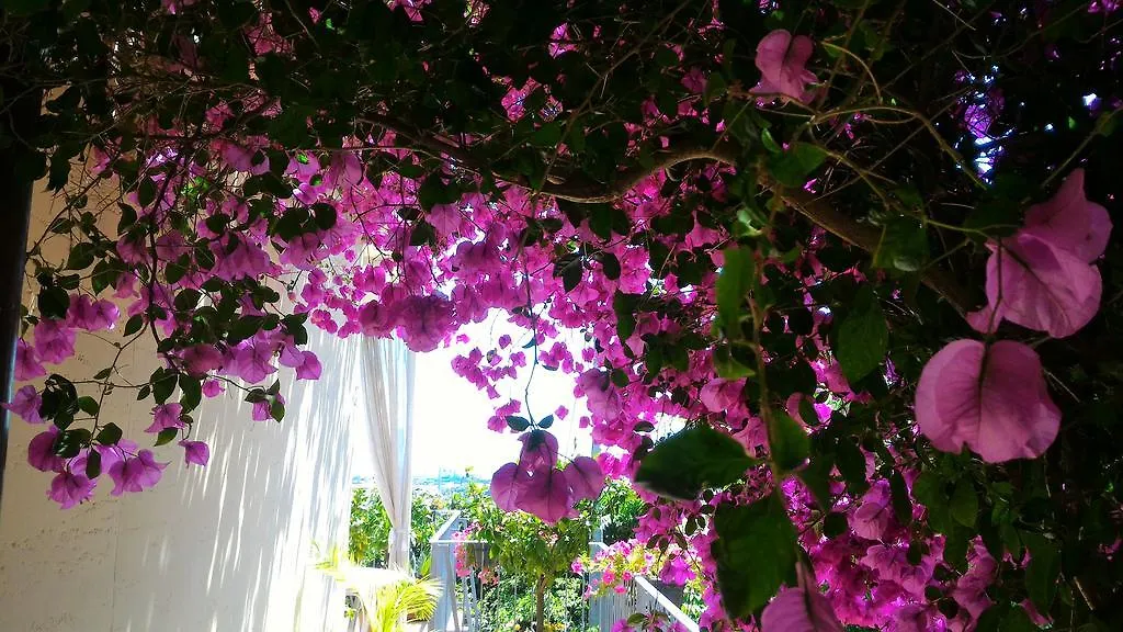 Dreams Guest House La Spezia